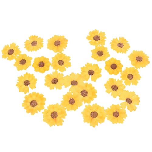 24 unidades de flores secas para manualidades miniatura 1