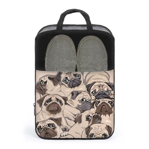 V[YP[X t`uhbO  V[YobO V[Y|[` V[Y gx|[` C  V[Y o s y ^тɕ֗ [obO ւ jp AEghA o s v[g