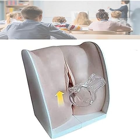 Quepiem Female Gynecological Manikin Model Female Genital Model - 1:1 Soft Silicone Vaginal Cervix Uterus Model Medical Model for Science Classroom Study Display Teaching Cover