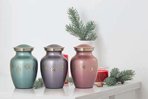 Enshrined Memorials Cremation Urn For Ashes - Cerberus Series Affordable Brass Handcrafted Pets Dogs Cats Funeral Burial Small 6 Inch Paw Prints #TOP2