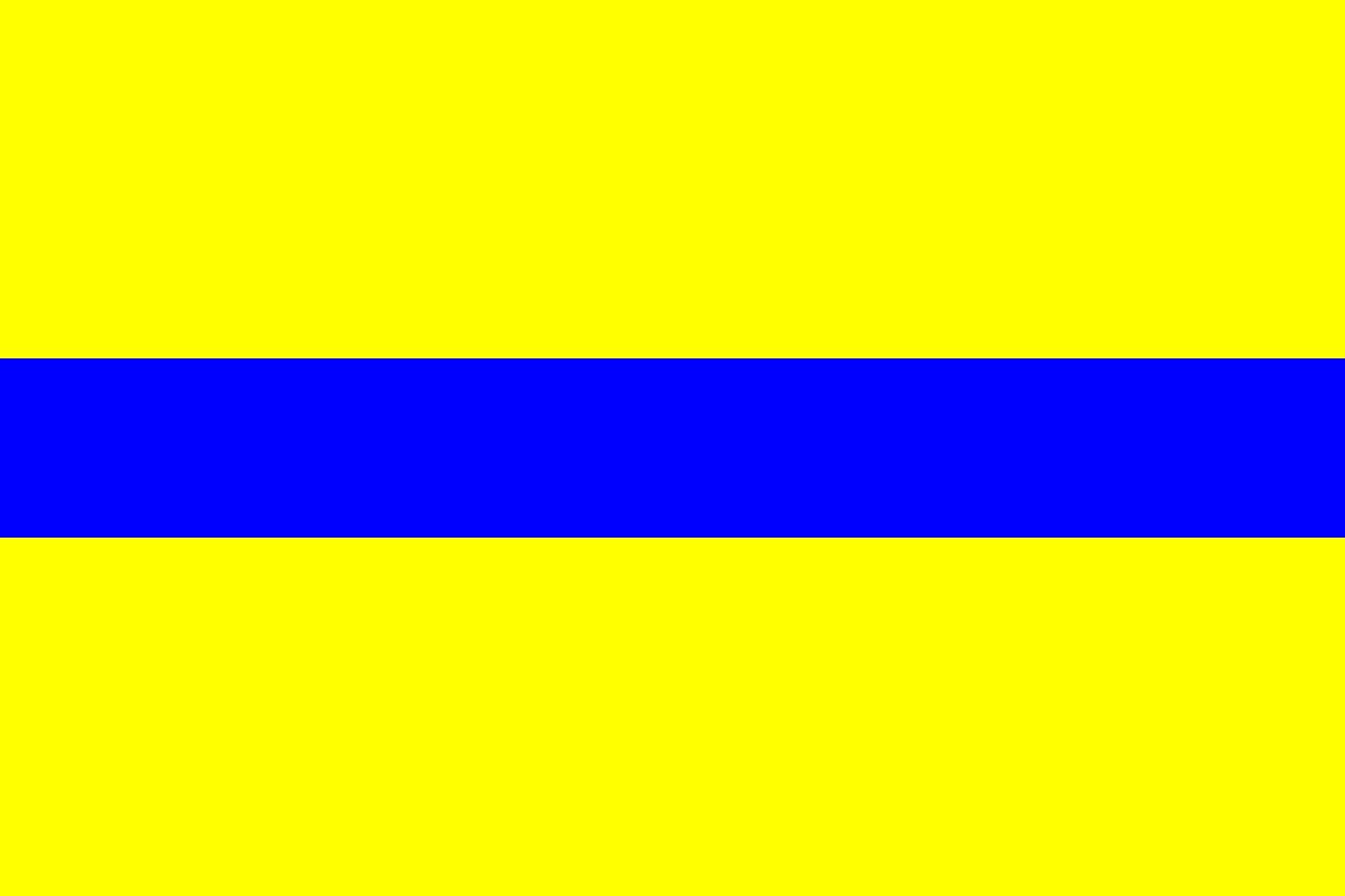 Drapeau Large Bystřice nad Pernštejnem 1995-1999 grand format historique