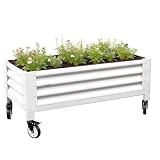 Anleolife Low-Profile Elevated Raised Garden Bed, Antique White