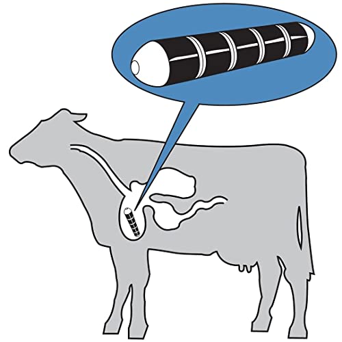Image of Magnet For Cow 3 Pack-Swastik Agro(Melasty)