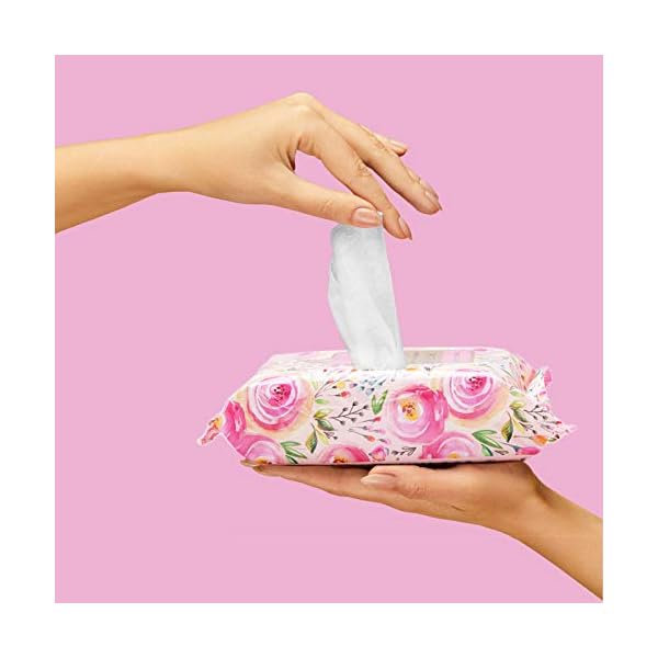 Beauty-Concepts-Facial-Wipe-Set-4-Packs-of-Face-Wipes-Makeup-Removing-Wipes-with-Rose-Water-Retinol-Rosehip-and-Collagen-Pink-Floral-Package Beauty Concepts Facial Wipe Set- 4 Packs of Face Wipes, Makeup Removing Wipes with Rose Water, Retinol, Rosehip, and Collagen, Pink Floral Package