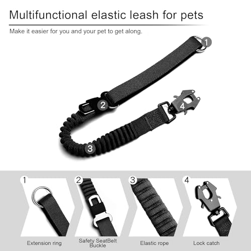 Using Short Leash for Training Control