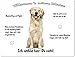 Produktbild Merchandise for Fans Blechschild/Warnschild/Fun Türschild 20x30cm - Willkommen in Meinem Zuhause - Motiv: Golden Retriever/Labrador sitzend - 01