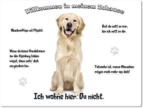 Merchandise for Fans Blechschild/Warnschild/Fun Türschild 20x30cm - Willkommen in Meinem Zuhause - Motiv: Golden Retriever/Labrador sitzend - 01
