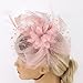 KEUKORZ Fascinators Hats Tea Party Hat for Women Flower Mesh Feathers Headband Women Outfits Wedding (Light Pink)