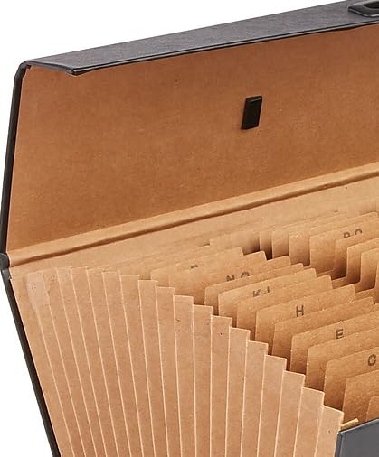 Amazon.com : Staples Accordion File, 19‑Pocket Multiple‑Index