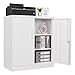 LISSIMO Metal Storage Cabinet, Locker Storage Cabinet with Doors and Adjustable Shelves,Steel Cabinet for Garage, Home, Office and School Assembly Required (White)