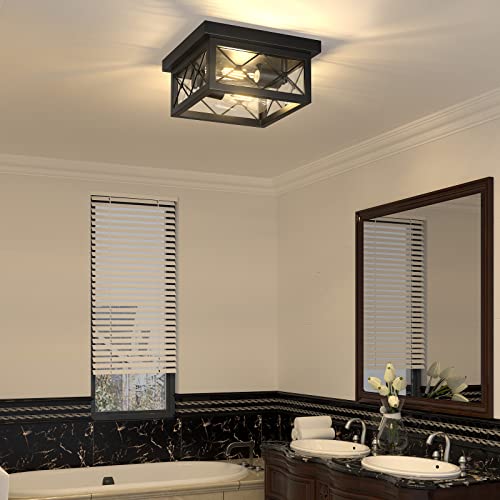 Asnxcju Farmhouse Light Fixtures Ceiling Mount, 2-Light Black Flush Mount Ceiling Light Fixtures With Clear Glass Shade, Retro Metal Cage Close To Ceiling Lamp For Bathroom Kitchen Hallway Outdoors #TOP4