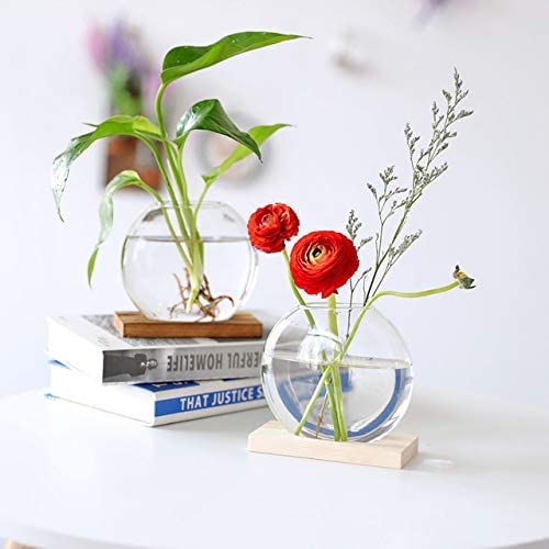 Kingbuy Desktop Glass Planter With Retro Wooden Stand Plant Terrarium For Indoor Office Decor Accessories — 2 Oblate And 3 Bulb Vases #TOP3