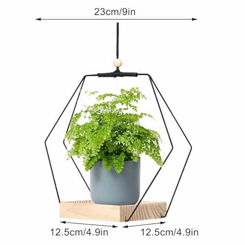 Cabides para vasos de plantas, suporte para plantas suspensas no teto, prateleira de exposição com e