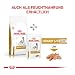 Royal Canin Veterinary Urinary S/O Ageing 7+ | 3,5 kg | Diät-Alleinfuttermittel für Hunde | Ab dem 7. Lebensjahr | Harnuntersättigende und metastabilisierende Eigenschaften