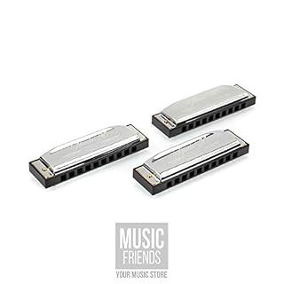 DIATONICAS PROGRESSIVE. Hohner Harmonica diatonique spécifique 20 Propack (C, G, A). - Les Beatles, Paul McCartney, John Lennon, RIngo Starr, George Harrison DIATONICAS PROGRESSIVE. Hohner Harmonica diatonique spécifique 20 Propack (C, G, A). – Image 3
