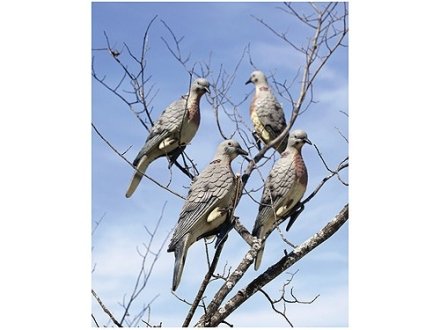 6 PACK OF CLIP-ON-DOVE DECOYS