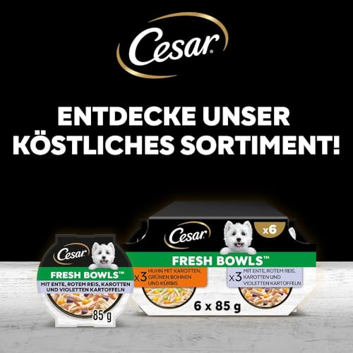 Cesar Schale mit Huhn, Karotte und Bohnen in Soße 2 x 5 x 85 g