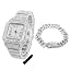 Platinum Watch + Bracelet
