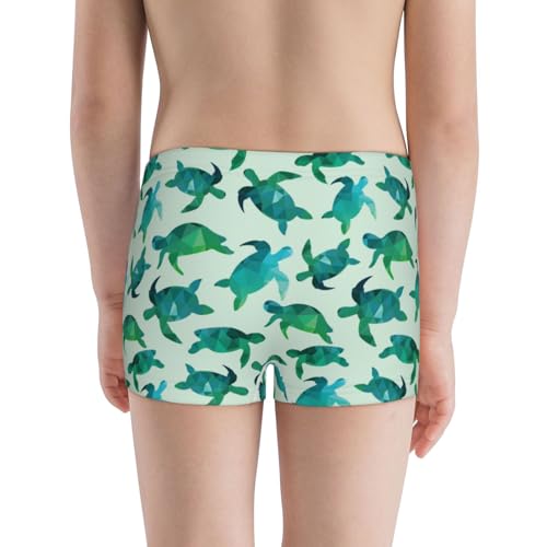 Boys' Cotton Boxer Brief Soft Underwear-Green Sea Turtle3