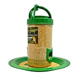 Amijivdaya Plastic Bird Feeder with Holding Handle with 2 Feed Nozzles - Heavy Duty Hanging Bird Food Feeder for Balcony, Outdoor, 500 Grams Capacity (Small, Green)
