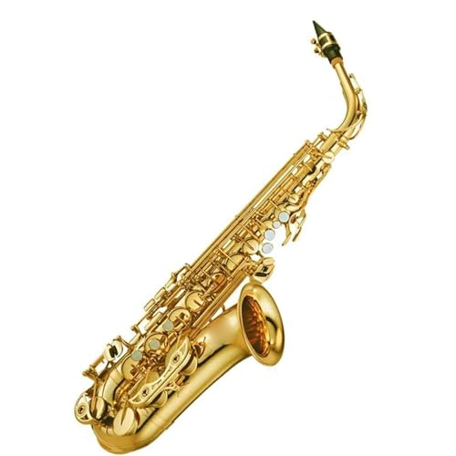 TbNX TbNX Ag vtFbVi Ag TbNX V[Y nCTbNX S[hbJ[ }EXs[Xt [h lbNP[X