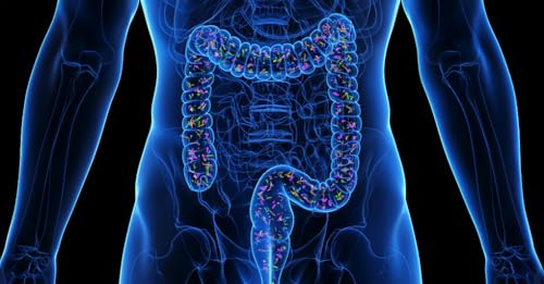 Allenare il microbiota per stare meglio ogni giorno