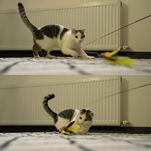 Meohui 11Pcs Cat Toys Wand Refills, Assorted Teaser Refills With Bell For Cat Feather Toys And Cat Teaser Toys, 10Pcs Feather Replacements And 1Pc Replacement String For Cat Wand #TOP4