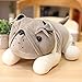 WENYING Süße Plüsch Bulldogge Shar Pei Hund Spielzeug Kuscheltier Welpe Puppe weiches Kissen Kinder Baby Geburtstagsgeschenk Geschenk Raumdekoration grau 25 cm