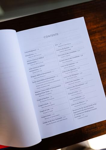 Image of The New Testament in Color: A Multiethnic Bible Commentary