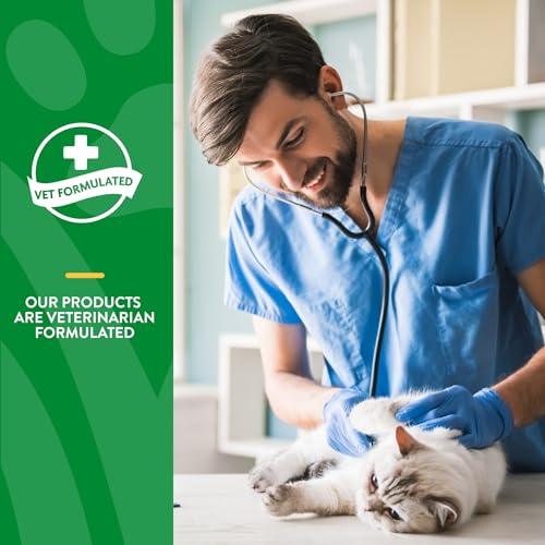 Image of NaturVet Digestive Enzymes Daily Digestive Support for Cats - 60 Soft Chews | Pre & Probiotic Formula - Supports Diet Changes & a Healthy Digestive Tract