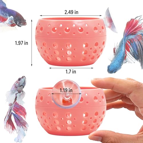 Image of Fhiny Betta Tunnel, Aquarium Betta Fish Hideout with Suction Cup Fish Tank Tunnel Shrimp Cave Aquarium Decor Fish Tank Accessories for Small Fish Shrimp Betta Guppy Hiding Resting (Orange)