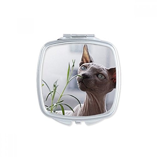 Miroir carré compact animal mignon petit miroir cosmétique portable