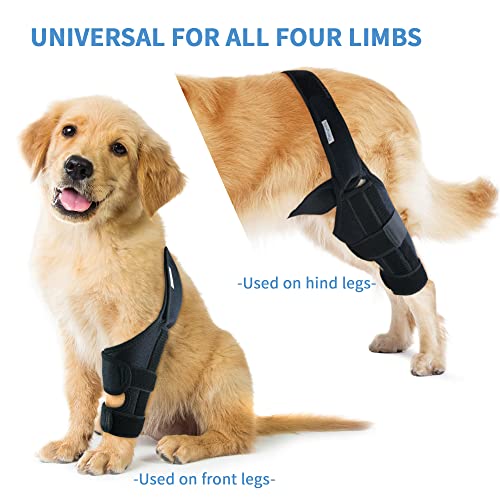 Merrymilo Dog Knee Brace For Support With Cruciate Ligament Injury, Joint Pain And Muscle Sore, Better Recovery With Dog Acl Knee Brace, Adjustable Rear Leg Braces For Dogs, Pet Knee Brace(Size: S) #TOP3
