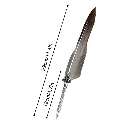 Aolvo, penna d'oca, set penna stilografica con