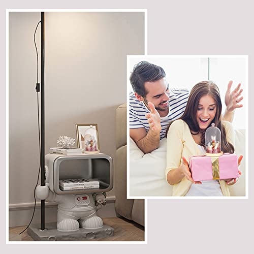 Ph Pandahall Glass Display Dome Cloche, Glass Bell Jar With Cork Base Glass Dome Decorative Jars Display Case For Flower Plants Succulents Storage Home Christmas Party Favor Decoration, 4.3X7.2 Inch #TOP6