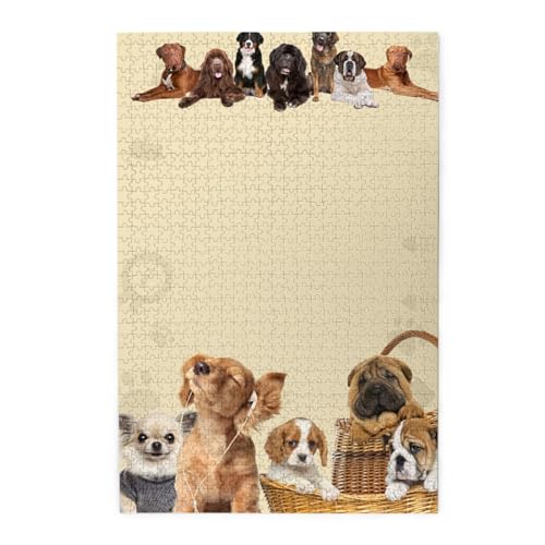 ؐs[X 1000s[X G4 WO\[pY lp eqpY qFBւ̃v[gɂł