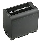 Kastar 2-Pack CGR-D28 Battery and AC Wall Charger Replacement for Panasonic AG-DVC80P, AG-DVX100, AG-DVX100A, AG-DVX100B, AG-DVX100BE, AG-DVX102, AG-DVX102A, AG-DVX102B, AG-DVX1000, AG-EZ50U