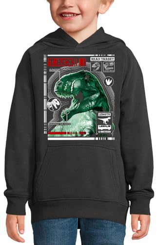 Sweat à capuche T-Rex dinosaure enfant pull sweat-shirt mode garçon et fille imprimé