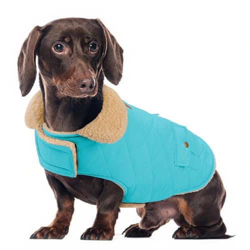 ���^���p�E�B���^�[�R�[�g�A���p�i�q���W���P�b�g�A�����V��p�y�b�g�R�[�g�A�h���g�����ߕ��A�y�b�g�̌���̕��������O�A�u���[M