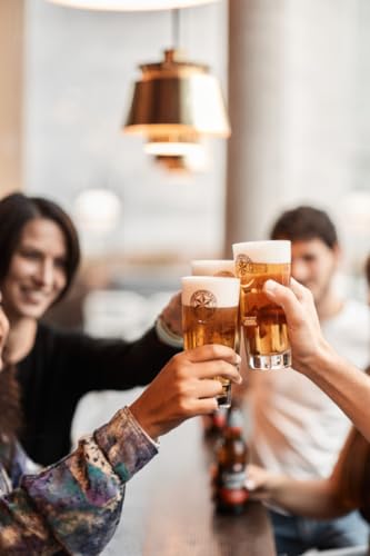 ESTRELLA GALICIA Especial Internationales Premium Lager Dosenbier, Helles Lager Bier Original aus Spanien, EINWEG (24 x 0.33 L)