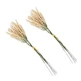 Sosoport