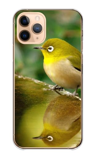 Galaxy S26 Ultra SC-53G SCG37 �p �P�[�X �M�����N�V�[ S26 �E���g�� �X�}�z�P�[�X �n�[�h�P�[�X �n�[�h ���W�� �� ���� ���� �ʐ^ �J���[05