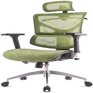 GroenErgonomische Mesh Office Manager Stoel|Liftable Rugleuning Hoogte Adj|Rugleuning Tilt Hoek Aanpassing|Alle Aluminium Skelet|Hoofdsteun Adj |Zetdiepte Adj