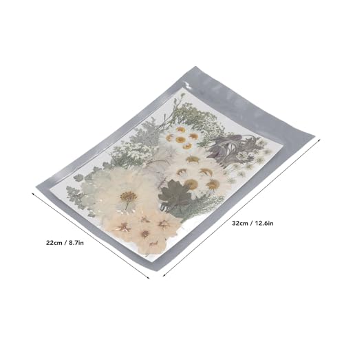 Flores Prensadas, 100 Unidades de Diferentes Variedades de Folhas Secas Kit Em Massa DIY Colorido Co