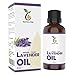 Produktbild Lavendelöl BIO 30ml - 100% naturreines Lavendelöl Ätherisches Öl, vegan - Lavender Oil (Lavandula Latifolia) für guten Schlaf oder Duftlampe - Aroma Diffuser Öl