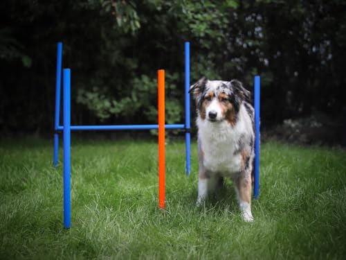 NATIV LEMODO Agility Set Hunde | Hundetraining mit Agility Hürde und Sprungring | Einfach zu transportierendes Hundetraining Zubehör | Einsteiger-Set in den Hundesport