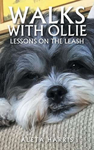Walks with Ollie: Lessons on the Leash