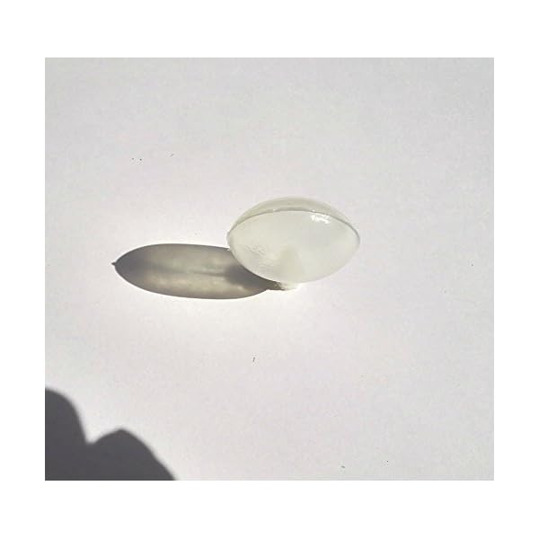 AKOAK-50-Pcs-35mm-Toy-Squeakers-Fit-Repair-Dog-Pet-Baby-Toys-Noise-Maker-Insert-Replacement Nerf Dog Classic Ball Toy - Lightweight and Durable Fetch Toy for Dogs