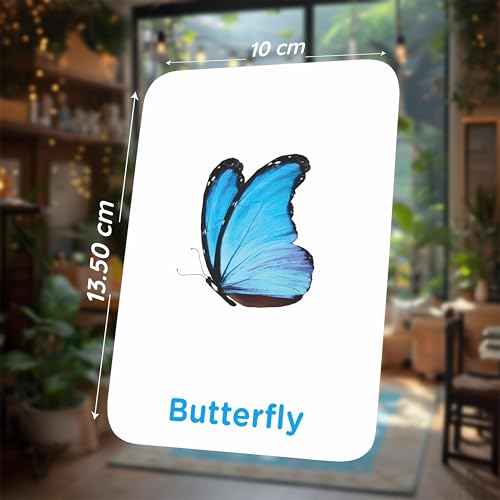 Image of SPARTAN KIDS Insect Flash Cards for Kids | 28 Early Learning Flash Cards Easy & Fun Way of Learning 1 Year to 6 Years Babies