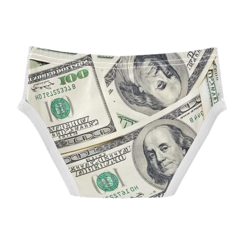 visesunny Boys Potty Training Underwear Classical Usa Dollar Printed Breathe Cotton Briefs Size 2T-8Y for Toddler2